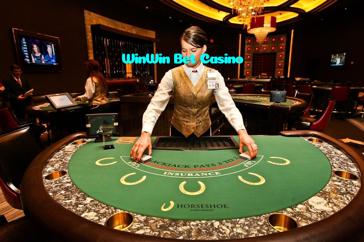available types of WinWin Bet Casino bet including pre-match live express and system bets